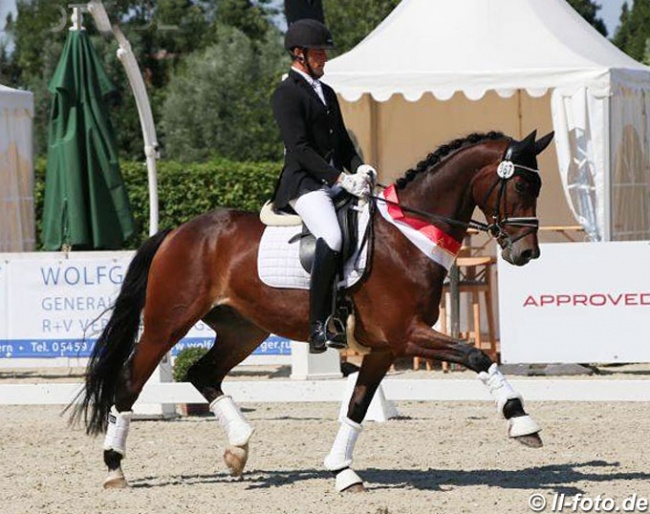 Lars Schulze Sutthoff on Rock Revolution at the 2018 Westfalian Championships in Munster-Handorf :: Photo © LL-foto