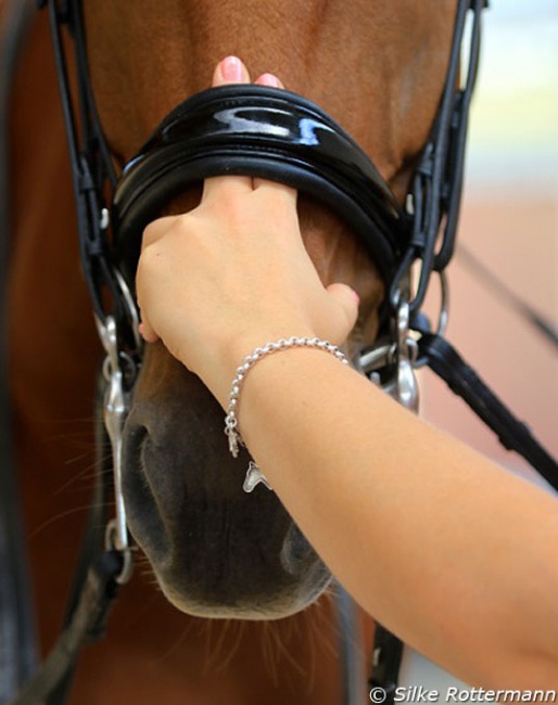 The two finger rule, according to the German guidelines, for how nosebands should be checked for tightness :: Photo © Silke Rottermann