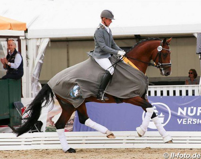 Mike Habermann and Labbadio at the 2018 Hanoverian Young Horse Championships in Verden :: Photo © LL-foto