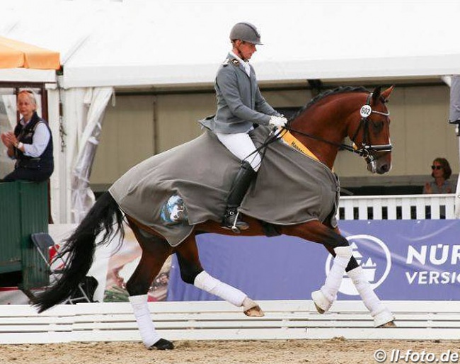 Mike Habermann and Labbadio at the 2018 Hanoverian Young Horse Championships in Verden :: Photo © LL-foto