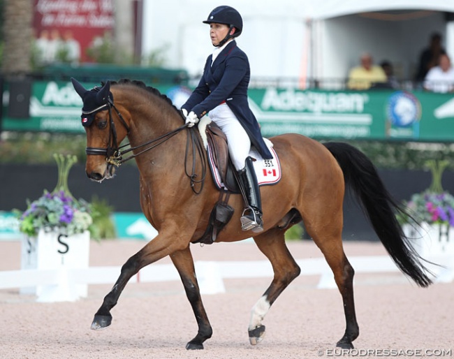 Jill Irving and Degas at the 2017 CDI Wellington :: Photo © Astrid Appels