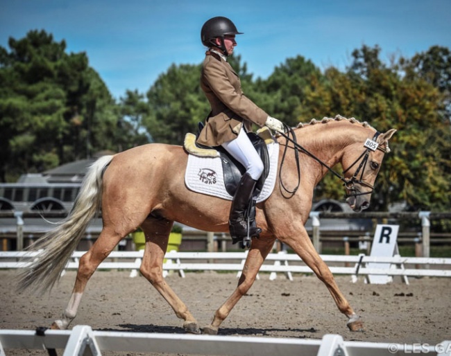 Mr Miagi S, winner of the 4-year old division at the 2018 French Young Pony Championships :: Photo © Les Garennes