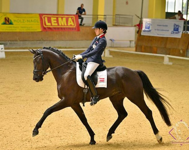 Stephanie Dearing and Livaldo at the 2018 Austrian Warmblood Young Horse Championships :: Photo © Team Myrtill