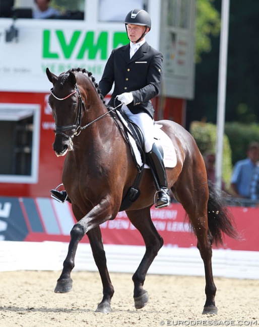Allan Gron and Zick Flower at the 2014 World Young Horse Championships in Verden :: Photo © Astrid Appels