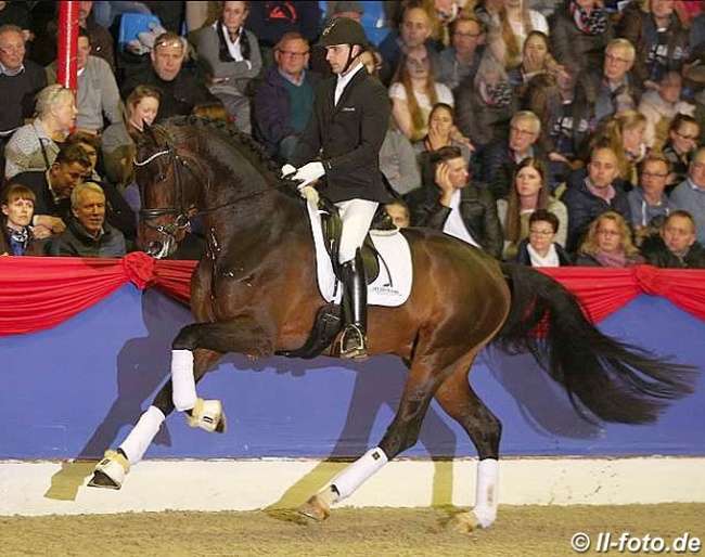 Andreas Helgstrand presenting Revolution at a 2017 stallion show in Vechta :: Photo © LL-foto