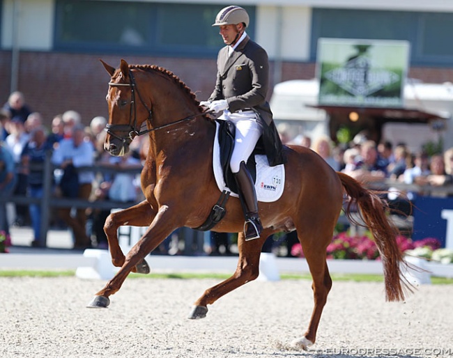 President's First Appel finishes fourth at the 2017 World Young Horse Championships :: Photo © Astrid Appels