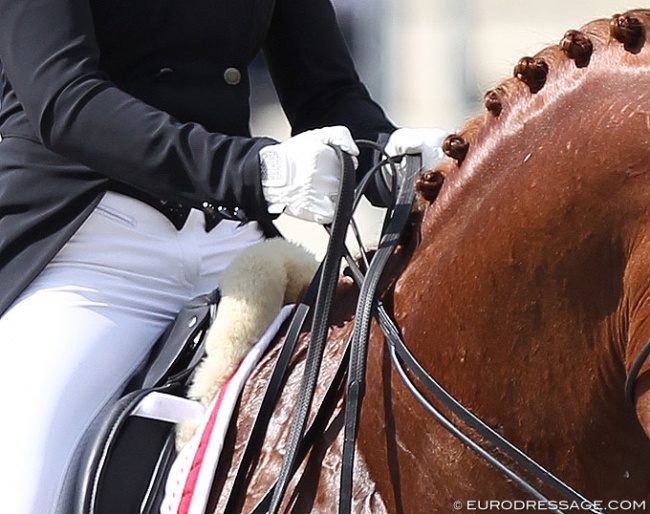 Rider hands :: Photo © Astrid Appels