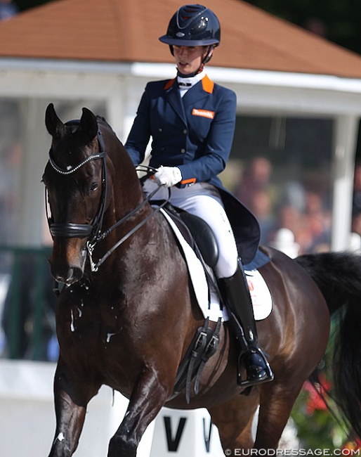 Katja Gevers and Thriller at the 2018 CDIO Compiègne :: Photo © Astrid Appels