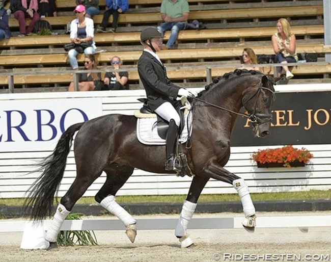 Jacob Norby Sorensen and Conde Nord at the 2018 CDN Falsterbo :: Photo © Ridehesten