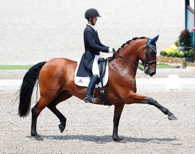 Hyeok Kim and Degas K at the 2018 Asian Games :: Photo © private