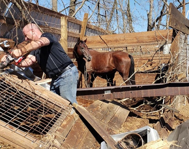 Mare and foal in the stall left over after Hurricane Michael struck Aqua Farms in the Florida panhandle