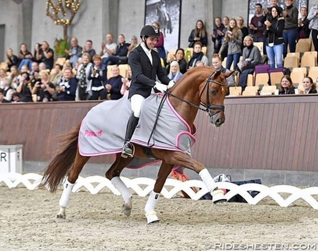 Severo Jurado Lopez on Springbank II VH at the 2018 Danish Young Horse Championships :: Photo © Ridehesten