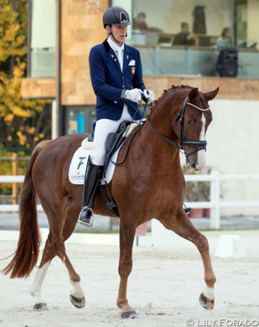 Juan Manuel Acosta Ponce and the 4-year old Donana TR at the 2018 Spanish YH Championships :: Photo © Lily Forado