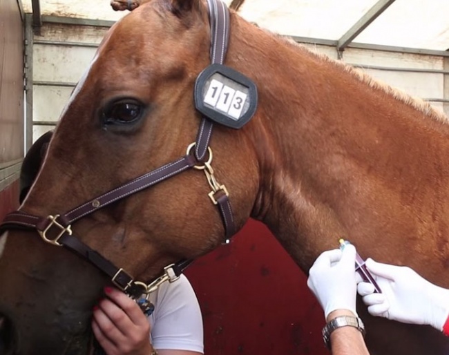 Equine athlete FEI drug testing process