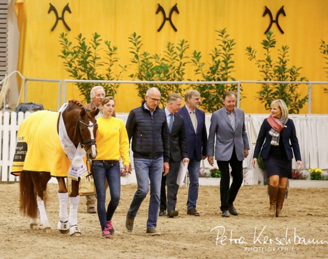 Rhinelander Belissimo M and his team entering the arena for the Hanoverian Stallion of the Year 2018 ceremony :: Photo © Petra Kerschbaum