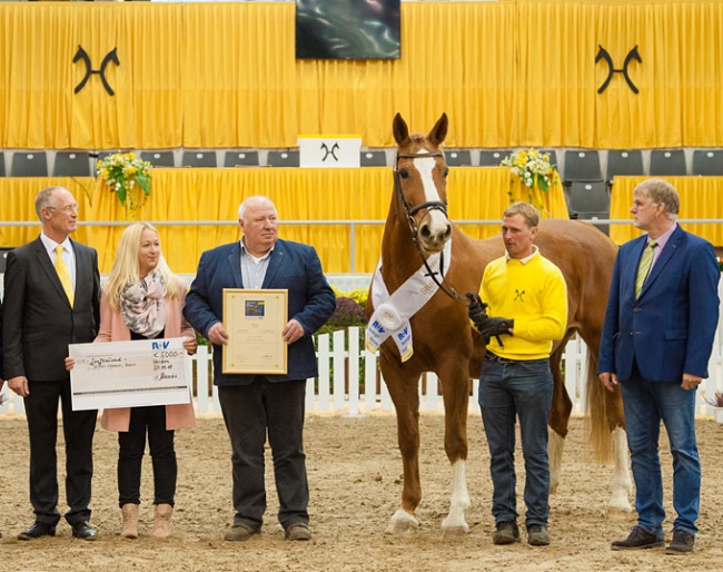 Dorina, Hanoverian Mare of the Year 2018