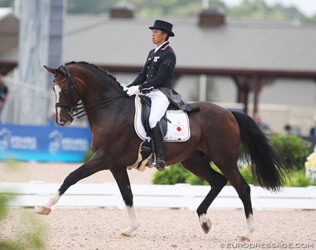 Clearwater on his final competitive diagonal with Shingo Hayashi at the 2018 World Equestrian Games :: Photo © Astrid Appels