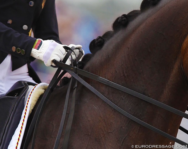 Hands and reins :: Photo © Astrid Appels