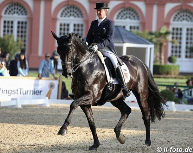 Renate Gohr-Bimmel and San Coco di Amore at the 2018 CDN Wiesbaden :: Photo © LL-foto