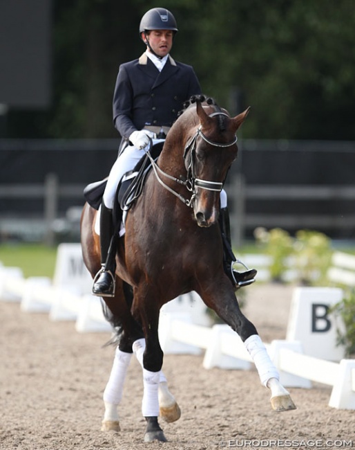 John Tijssen and Zhivago in a stallion demo at the 2014 CDI Kapellen :: Photo © Astrid Appels