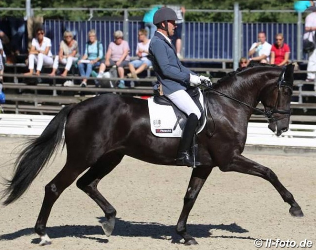 Rudolf Widmann and Rose of Bavaria at the 2016 Bundeschampionate :: Photo © LL-foto