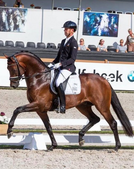 Hans Peter Minderhoud and Incognito at the 2017 Pavo Cup Finals :: Photo © Timo Martis