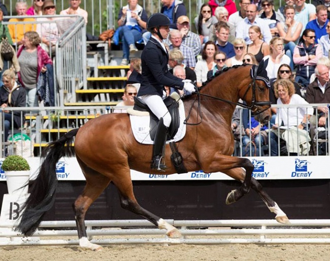 Hannes Lütt and Eternity at the 2018 Bundeschampionate :: Photo © Equitaris
