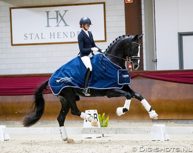 Marieke van der Putten and Jameson RS2 at the 2018-2019 KWPN Stallion competition qualifier in Kronenberg :: Photo © Digishots