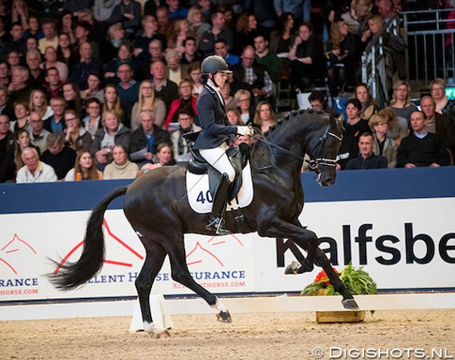 Kim Koolen and Jarville at the 2018 KWPN Stallion Licensing :: Photo © Digishots