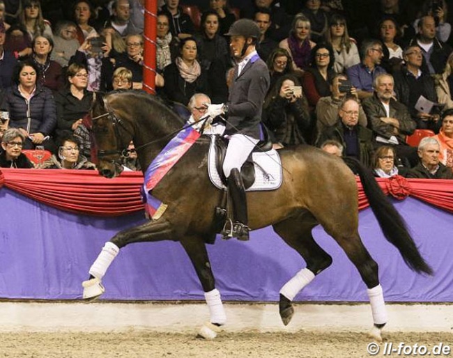 Daniel Bachmann Andersen and Blue Hors Zackerey at the 2018 Oldenburg Stallion Licensing :: Photo © LL-foto
