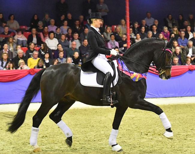 VTV Dressage Stallion 2018 Spirit of the Age OLD by Stedinger under his owner Bernadette Brune :: Photo © gr. Feldhaus)