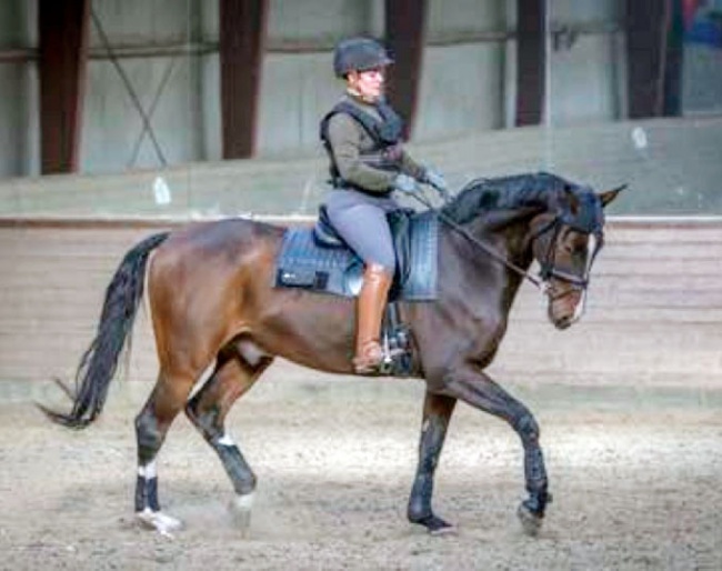 Danish Rider Weight Study Completed :: Photo © Katja Ahrenfeldt