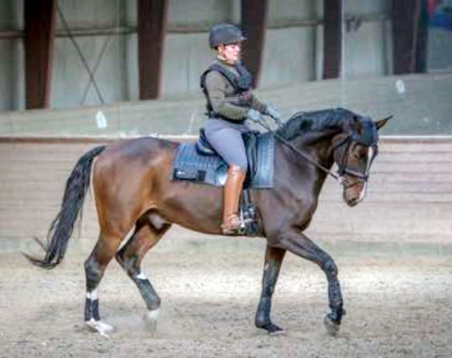 Danish Rider Weight Study Completed :: Photo © Katja Ahrenfeldt