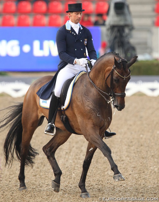 Toy Story at the 2013 European Dressage Championships in Herning :: Photo © Astrid Appels