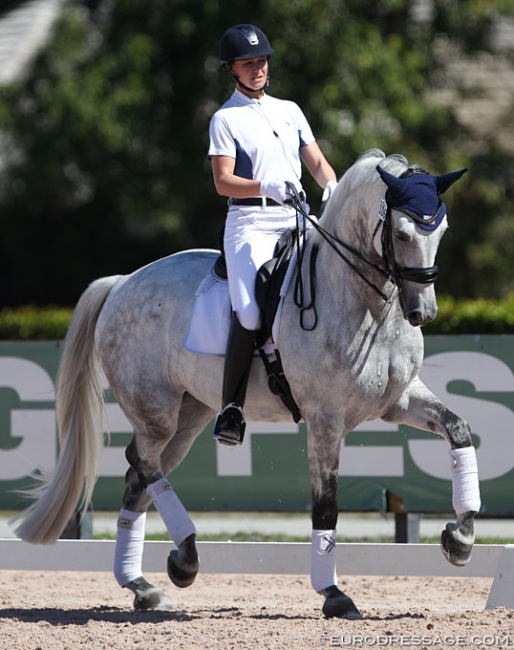 Adrienne Lyle schooling Harmony's Duval in Wellington :: Photo © Astrid Appels