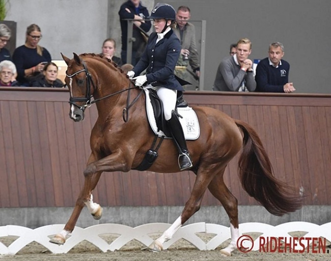 Nanna Skodborg Merrald and Blue Hors Zirrus at the 2018 CDN Brande :: Photo © Ridehesten