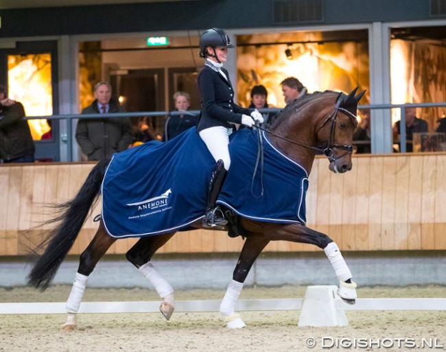 Renate van Uytert-Van Vliet on In Style at the 2018 KWPN Stallion Competition in Ermelo :: Photo © Digishots