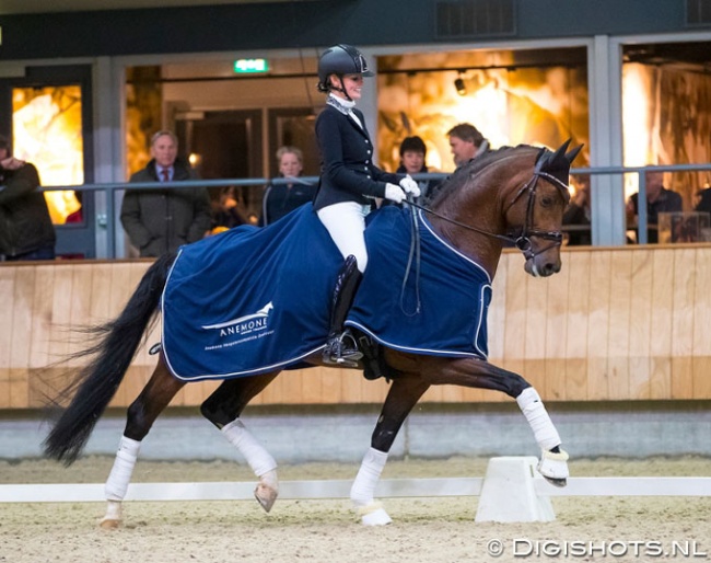 Renate van Uytert-Van Vliet on In Style at the 2018 KWPN Stallion Competition in Ermelo :: Photo © Digishots
