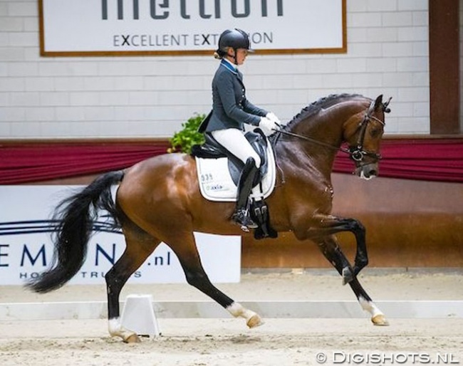Renate van Vliet and In Style at the 2018 KWPN Stallion Competition in Kronenberg :: Photo © Digishots