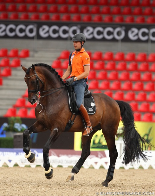 Hans Peter Minderhoud schooling Romanov at the 2013 European Dressage Championships in Herning :: Photo © Astrid Appels