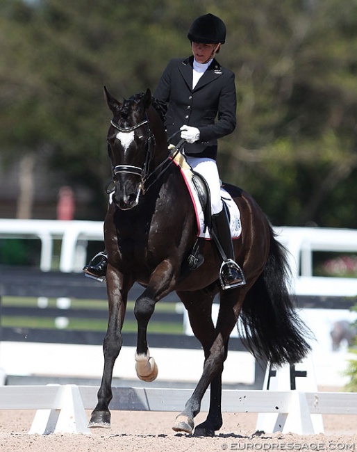 Susan Pape and Scuderia at the 2017 CDN Wellington :: Photo © Astrid Appels