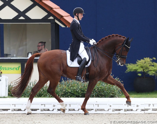 2018 Louisdor Cup winner Blue Hors Veneziano at the first qualifier of the 2018 show season at Hof Kasselmann in Hagen :: Photo © Astrid Appels