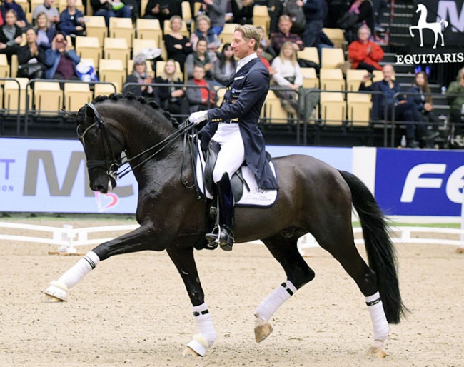 Patrik Kittel and Sezuan at the 2018 DWB Stallion Licensing in Herning :: Photo © Tanja Becker