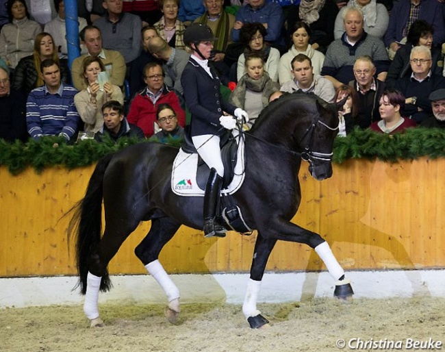 Isabel Freese on Top Gear at the Schockemohle stallion show in February 2018 :: Photo © Christina Beuke