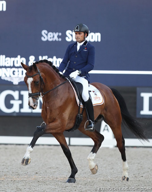 Spanish Jose Antonio Garcia Mena on Hip By Johnson at the 2018 World Young Horse Championships :: Photo © Astrid Appels