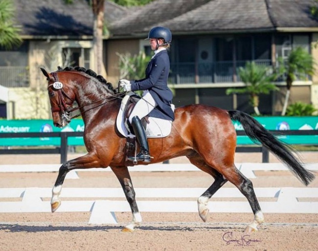 Pia Fortmuller and First Connection at the 2019 CDN Wellington :: Photo © Sue Stickle