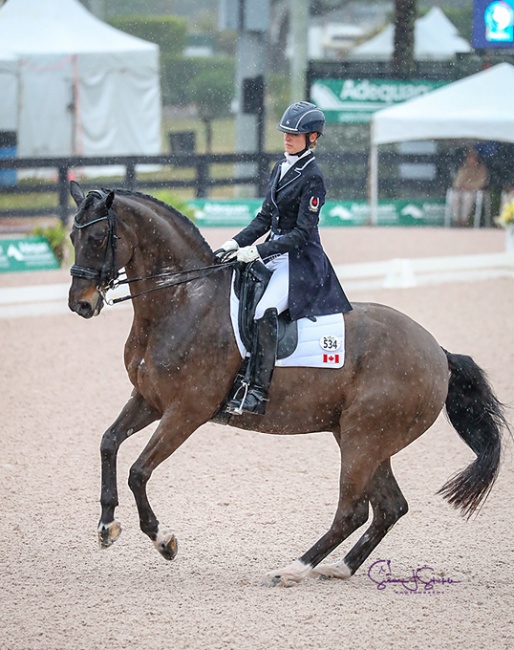 Tina Irwin and Laurencio competing in a rainy third week of the AGDF at the 2019 CDI-W Wellington :: Photo © Sue Stickle