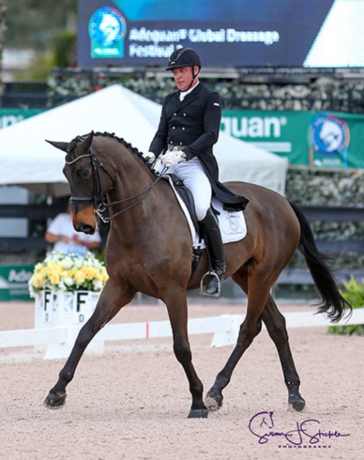 Michael Klimke and Harmony Sporthorses' Diabolo at the 2019 CDI-W Wellington :: Photo © Sue Stickle