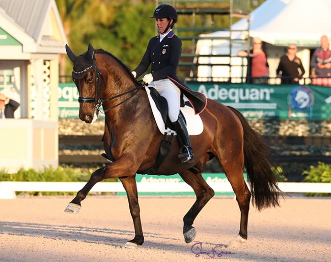 Kasey Perry-Glass and Gorklintgaards Dublet at the 2019 CDI-W Wellington :: Photo © Sue Stickle