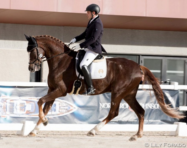 Luis Soto Sánchez and Rio Duero at the 2018 Spanish Young Horse Championships :: Photo © Lily Forado